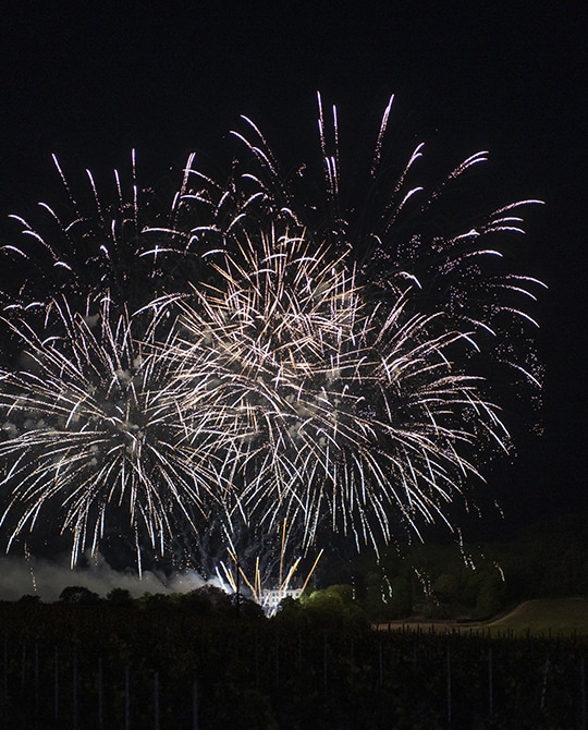 Moët et Chandon Has Transformed its Chateau de Saran Into an Invite-Only  Luxury Hotel