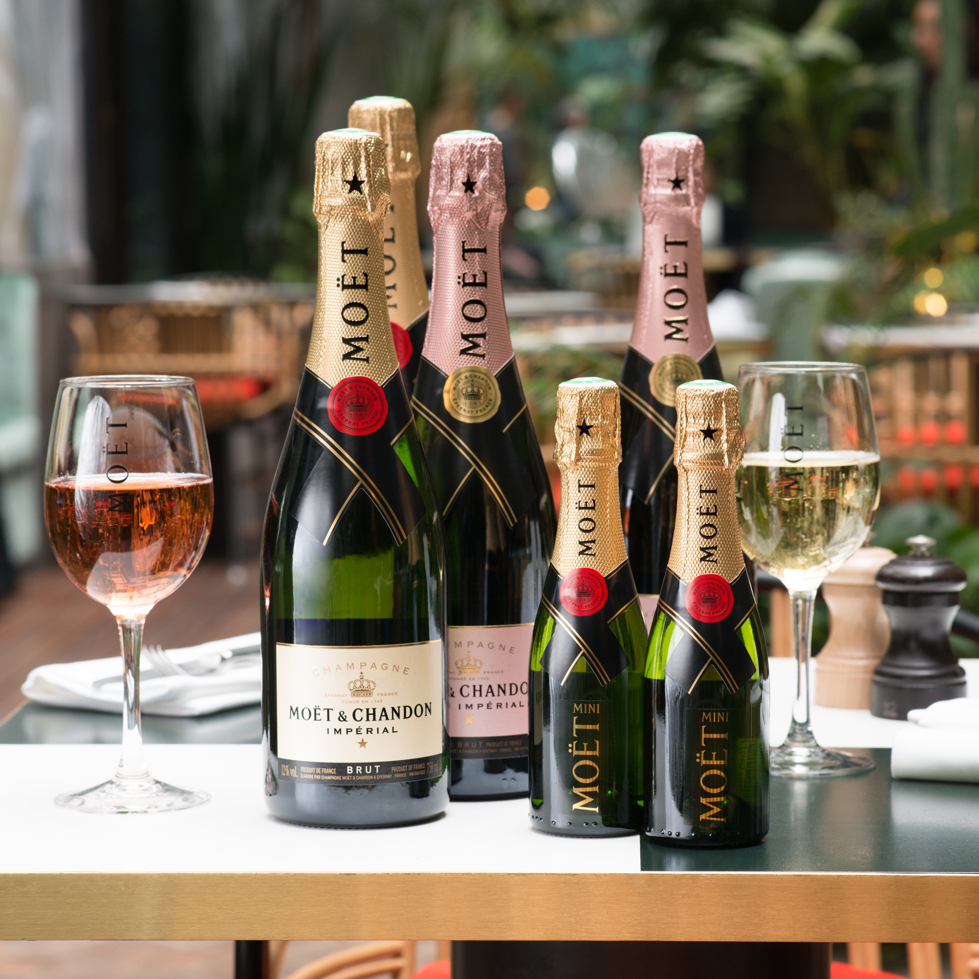 Champagne | Guidelines Chandon Moët for Moët storing & Chandon &