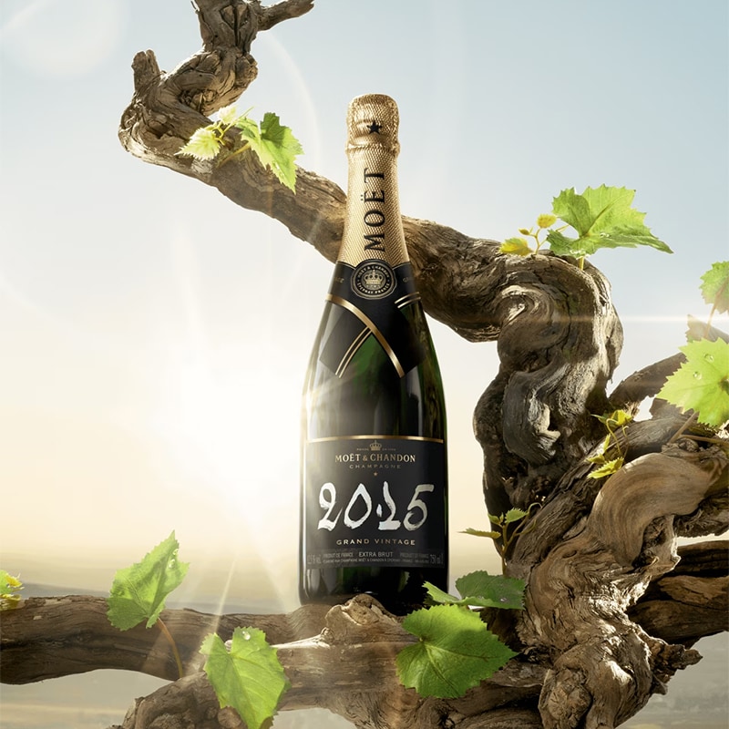 Discover our Champagnes