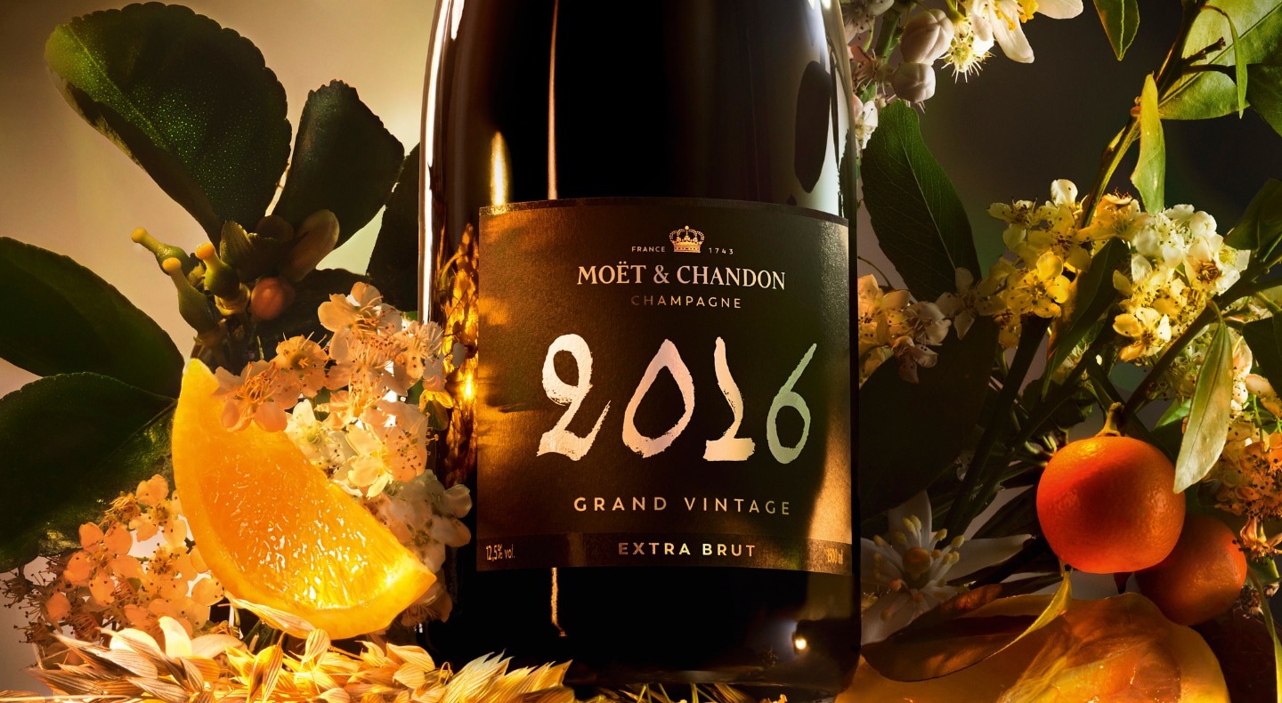 Discover our Champagnes Moët & Chandon | Moët & Chandon