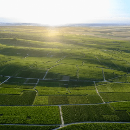 ETIQUETTE MENU - EXPERIENCE PREMIUM