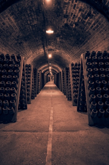 CARROUSEL EXPERIENCES BRAND HOME MOET & CHANDON - GRAND VINTAGE