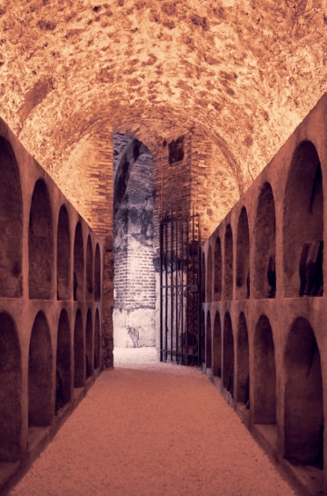 CARROUSEL EXPERIENCES BRAND HOME MOET & CHANDON - MOET COLLECTION