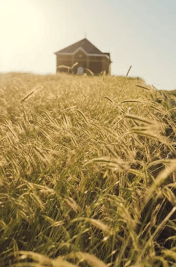 CARROUSEL EXPERIENCES BRAND HOME MOET & CHANDON - TERROIR TREASURE