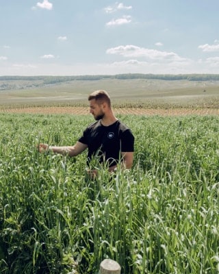 3 plant cover  test plots