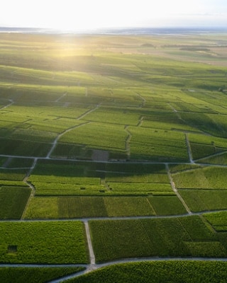 380 hectares to biodiversity