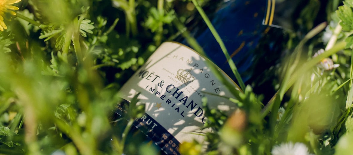 Eco-designed packaging and waste recycling