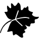 icon-feuille