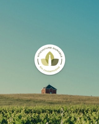 Moët & Chandon obtained a certification in sustainable viticulture